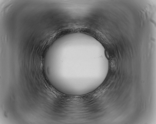 X0000095911204200801110819