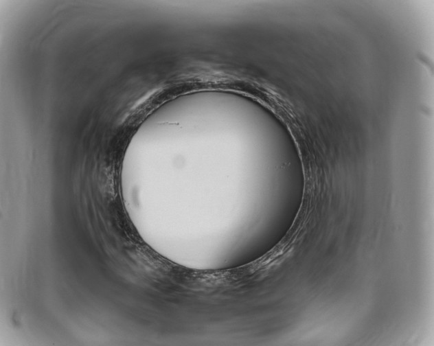 X0000095911205200801110819
