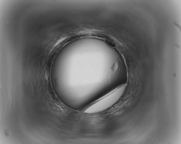 X0000095911206200801110819