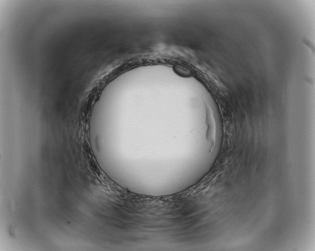 X0000095911207200801110819