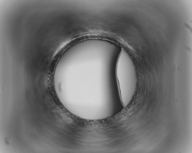 X0000095911208200801110819