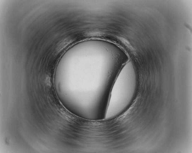 X0000095911209200801110819