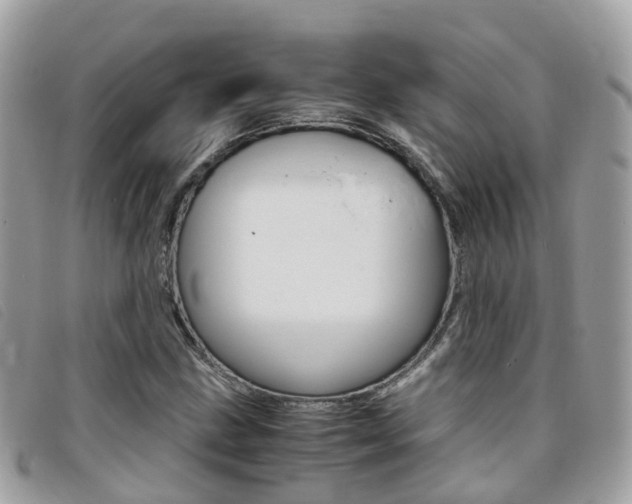 X0000095911211200801110819