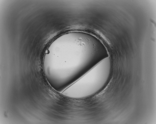 X0000095911213200801110819