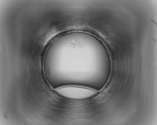X0000095911214200801110819