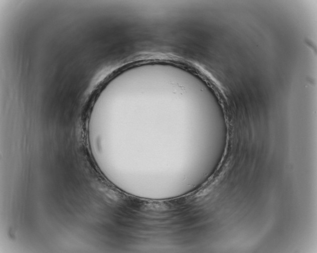 X0000095911215200801110819