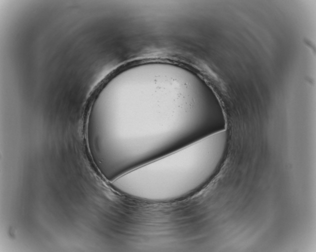 X0000095911216200801110819