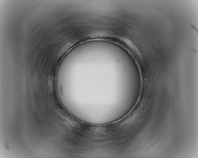 X0000095911217200801110819