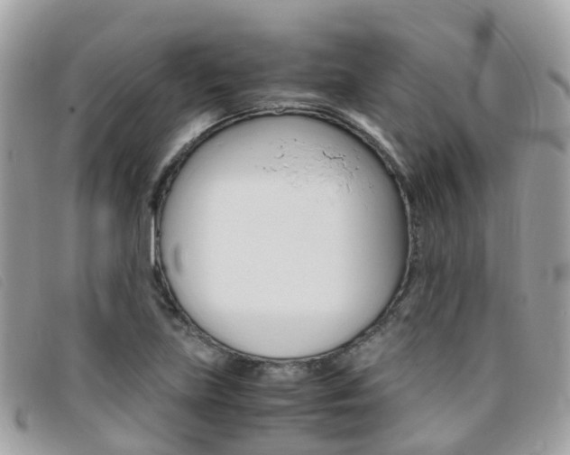 X0000095911219200801110819