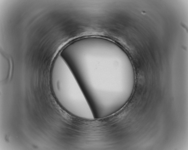 X0000095911220200801110819