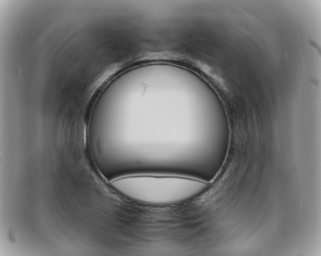 X0000095911221200801110819