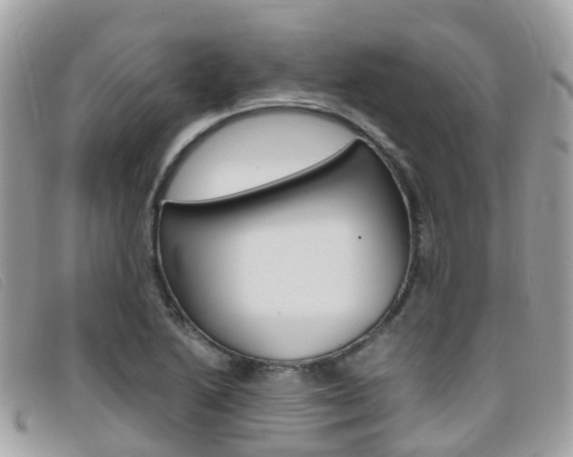 X0000095911222200801110819