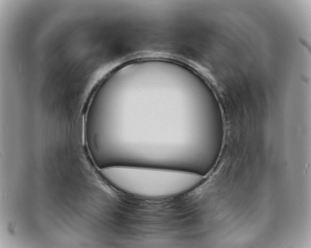 X0000095911223200801110819
