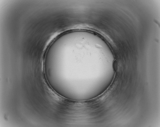 X0000095911224200801110819