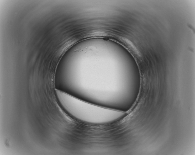 X0000095911225200801110819