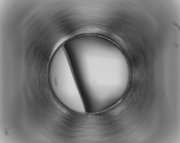 X0000095911226200801110819