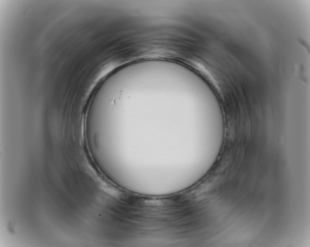 X0000095911227200801110820