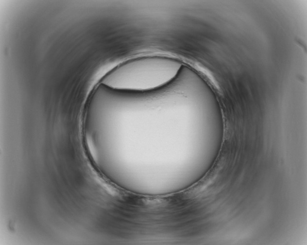 X0000095911231200801110820