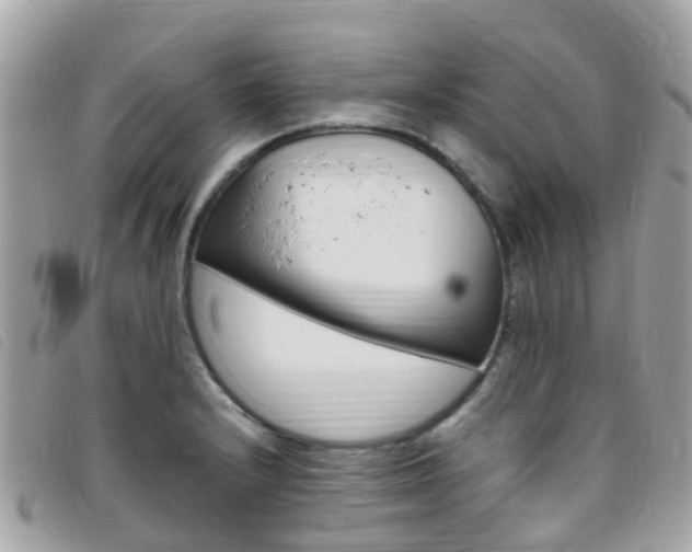 X0000095911232200801110820