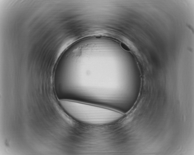 X0000095911234200801110820