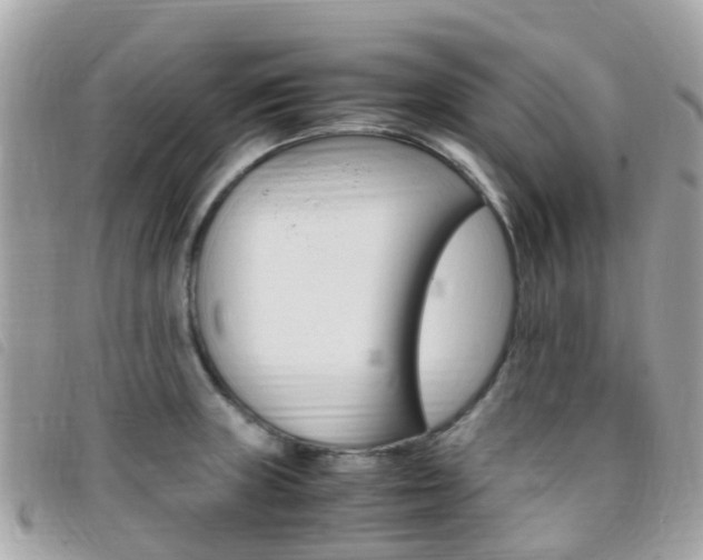 X0000095911235200801110820