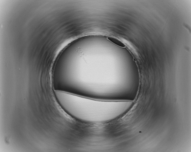 X0000095911238200801110820