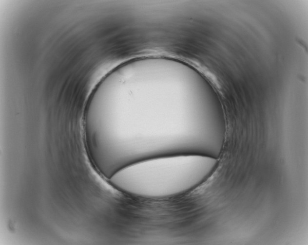 X0000095911239200801110820