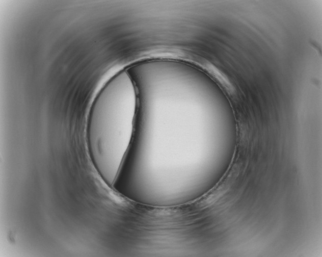 X0000095911240200801110820