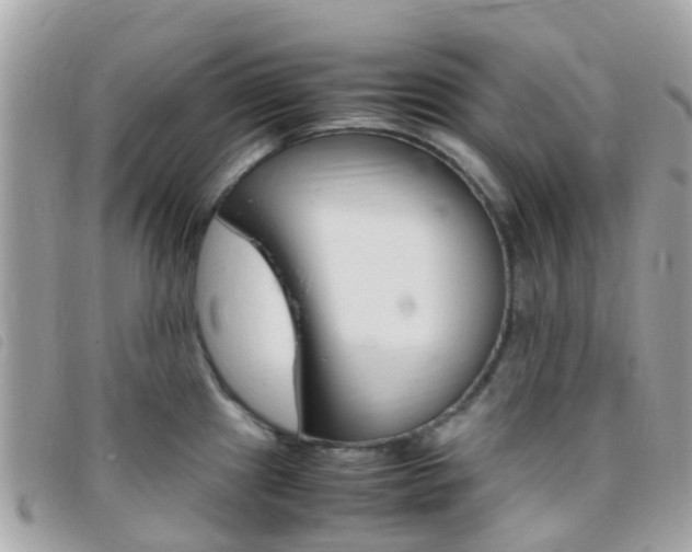 X0000095911241200801110820