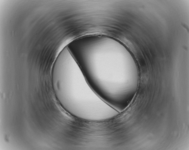 X0000095911242200801110820