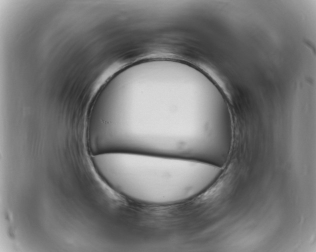 X0000095911245200801110820
