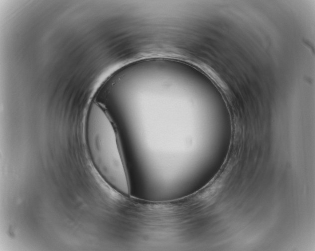 X0000095911246200801110820