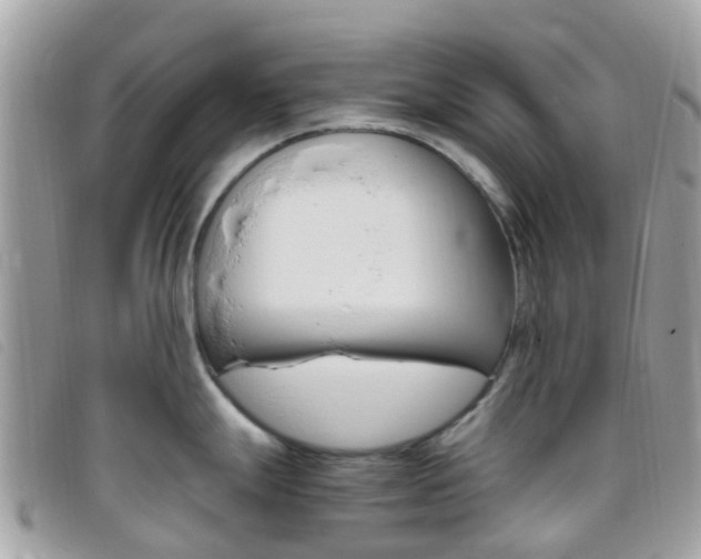 X0000095911247200801110820