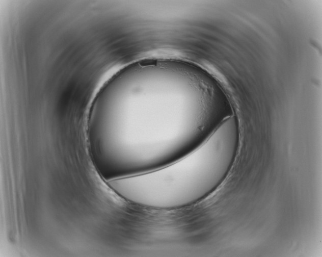 X0000095911248200801110820