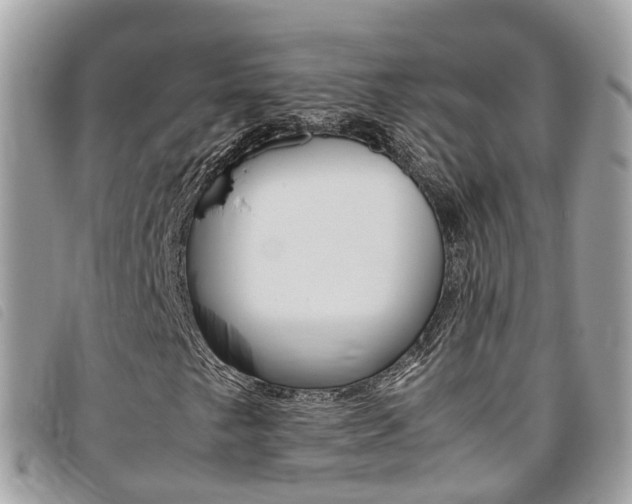 X0000095911249200801110819