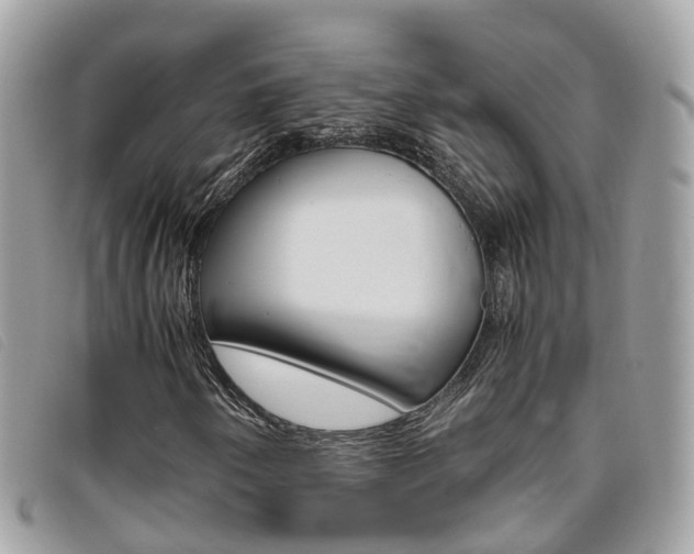 X0000095911250200801110819