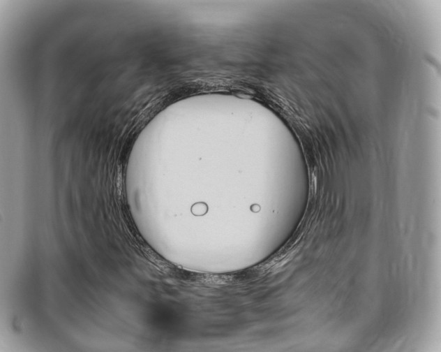 X0000095911251200801110819