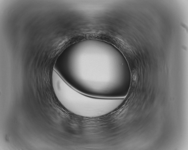 X0000095911252200801110819