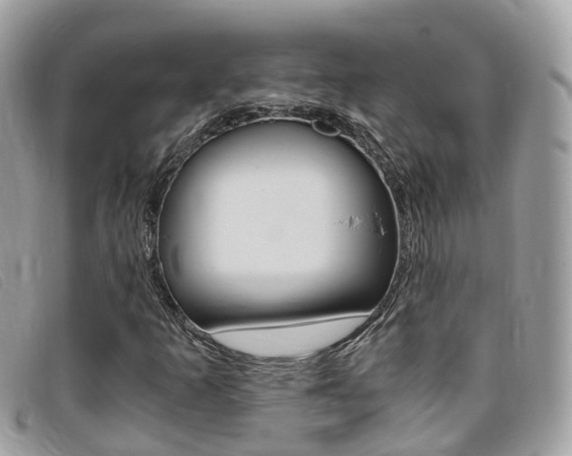 X0000095911253200801110819