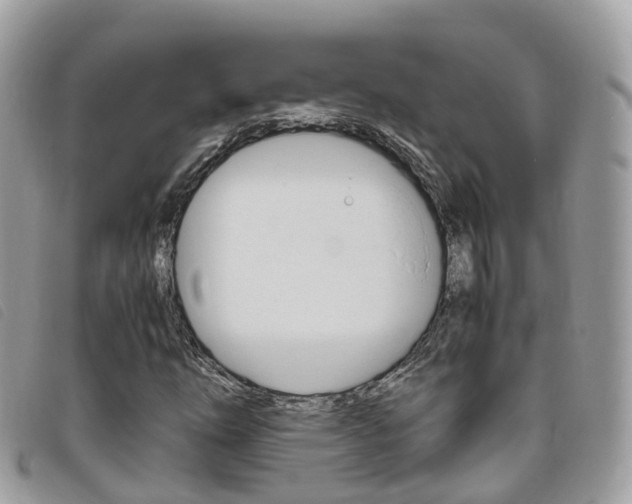 X0000095911254200801110819