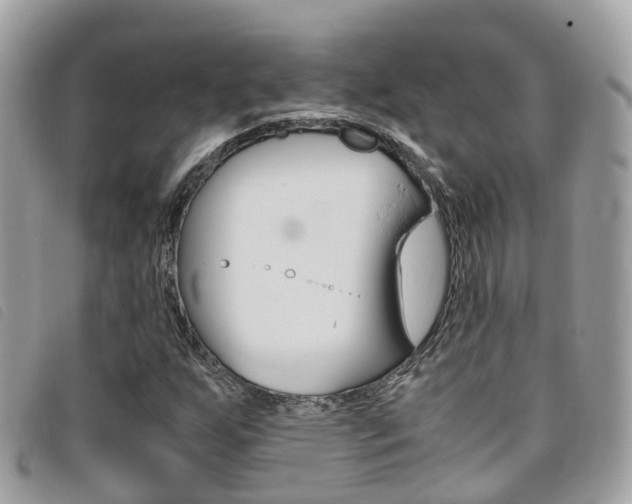 X0000095911255200801110819