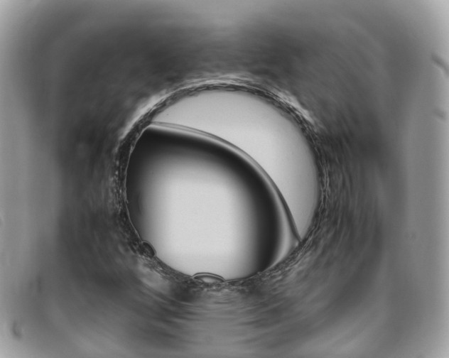 X0000095911256200801110819