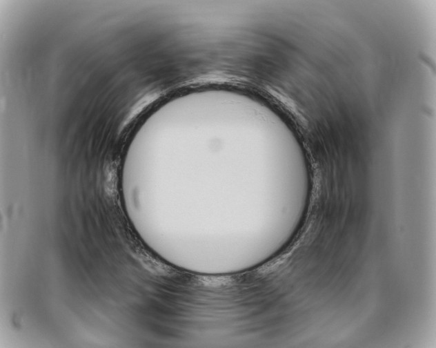 X0000095911258200801110819