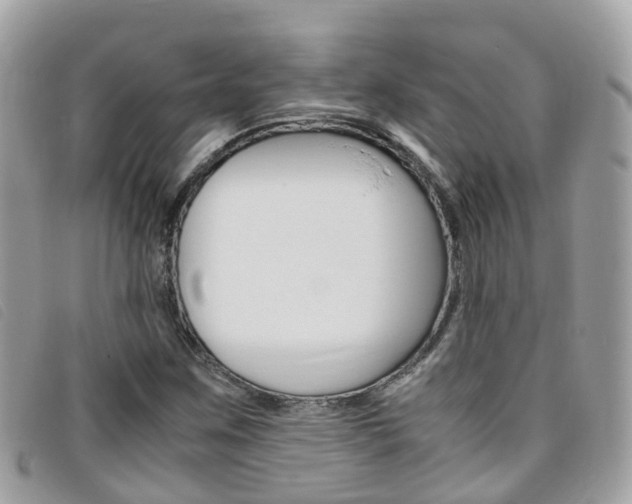 X0000095911259200801110819
