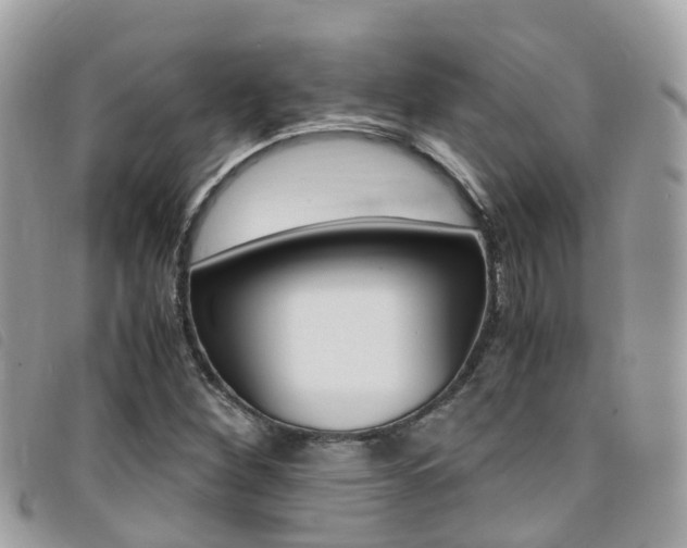 X0000095911260200801110819