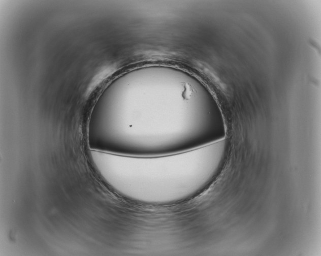 X0000095911261200801110819