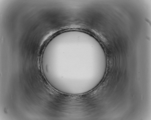 X0000095911262200801110819