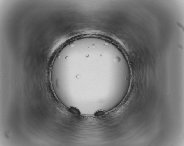 X0000095911263200801110819