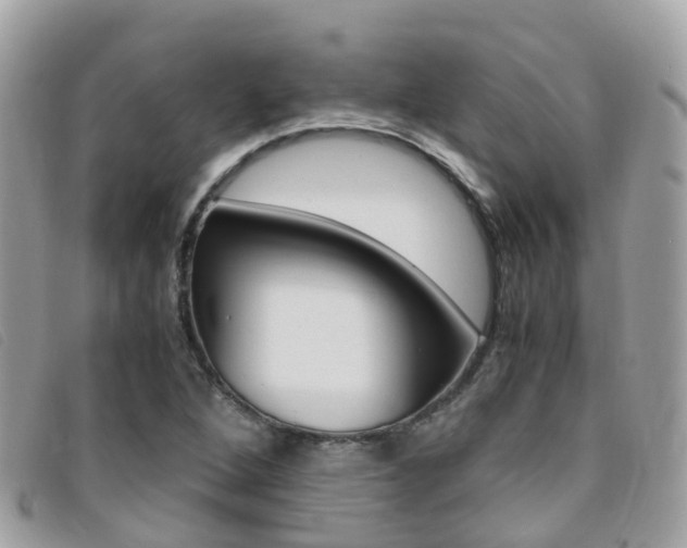 X0000095911264200801110819