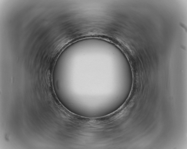 X0000095911265200801110819